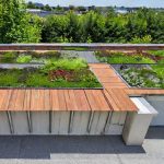 Green Roofs: Bringing Nature to Your Rooftop Oasis